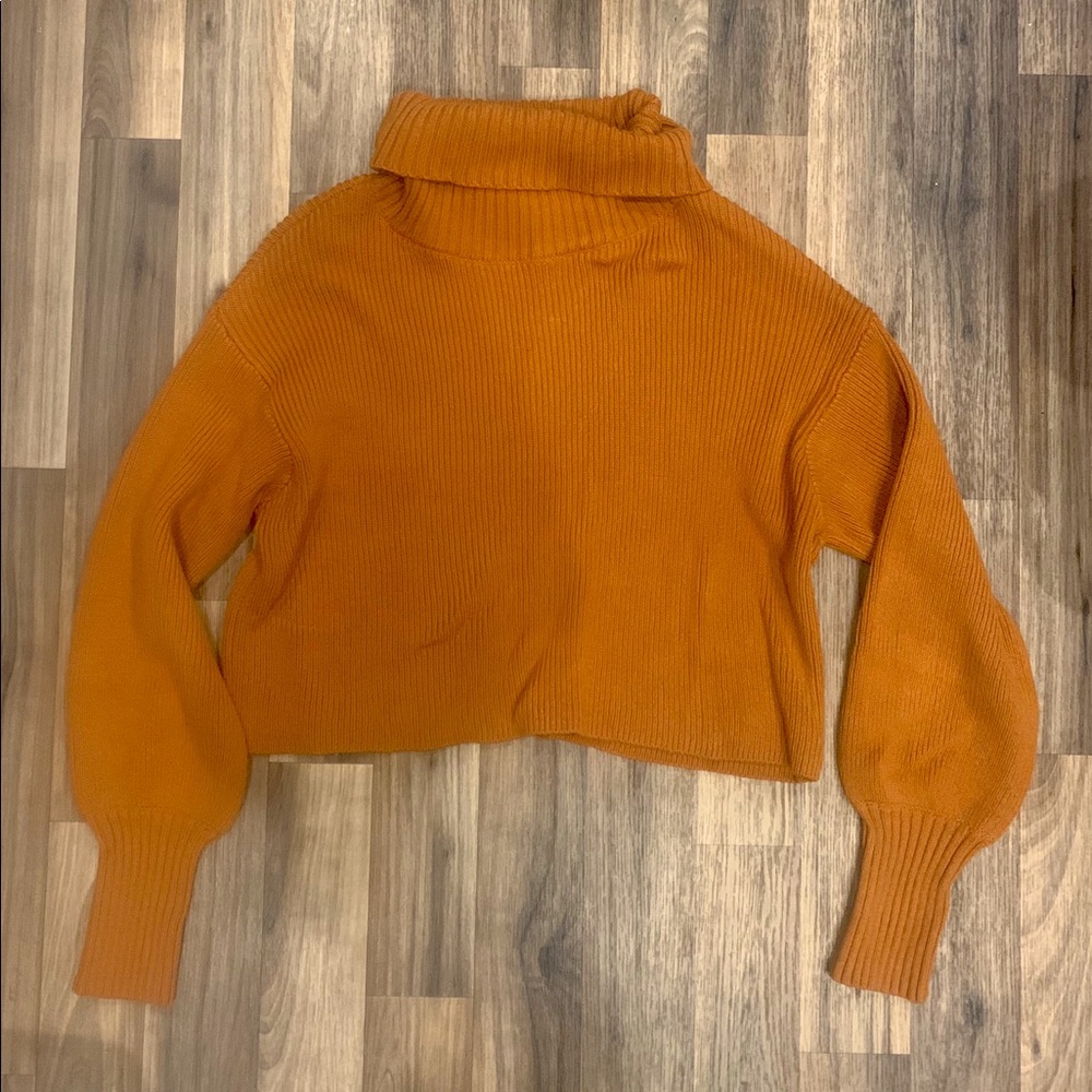 Burnt orange crop turtle neck sweater